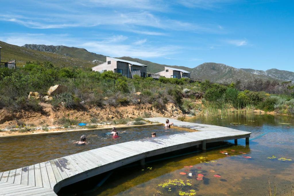 um grupo de pessoas na água em uma doca em Phillipskop Mountain Reserve em Stanford