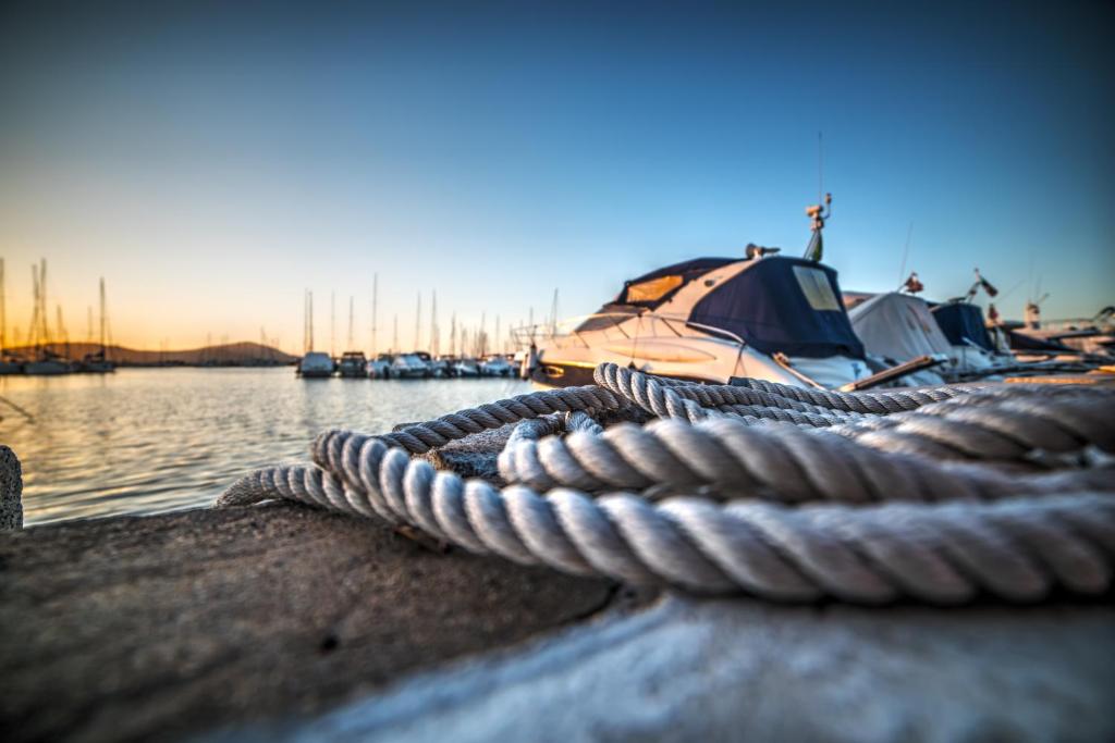 a group of boats parked next to the water at Admiral Stuuv in Barth