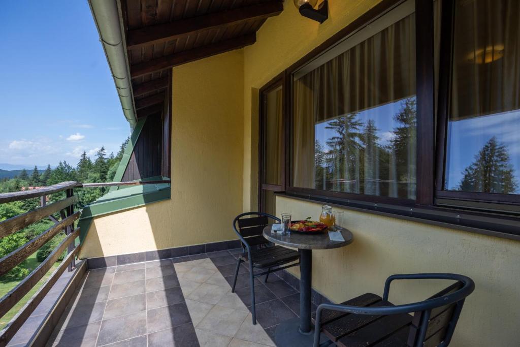 Hotel Casa Viorel jacuzzi & saunas - Resim 35