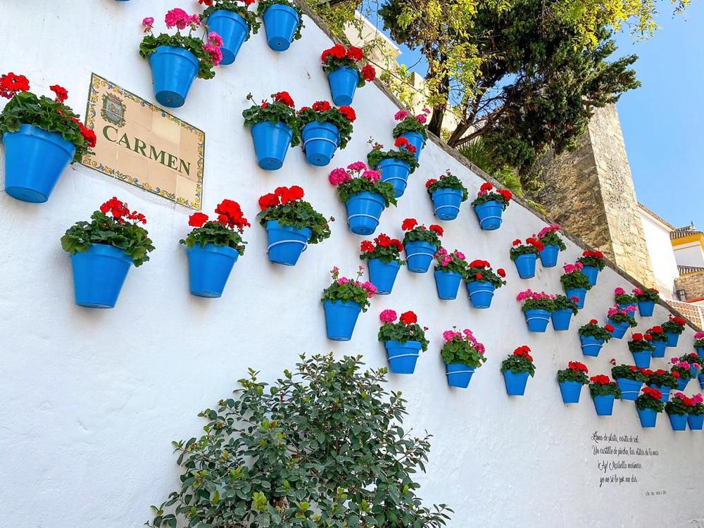マルベーリャにあるIdyllic Townhouse in Marbella Old Townの鉢植え