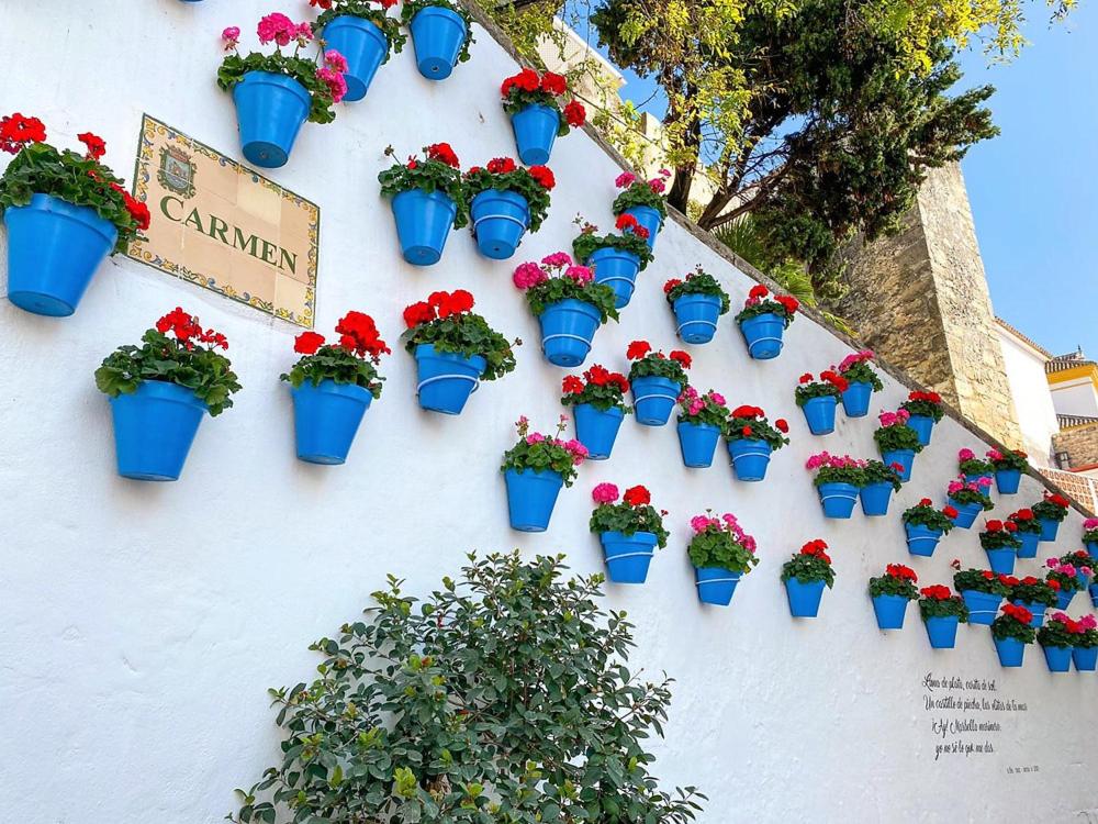 A garden outside Idyllic Townhouse in Marbella Old Town