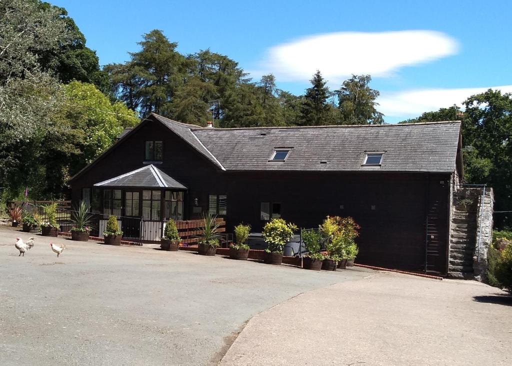 uma casa negra com galinhas a andar à frente dela em Sheep Dip Cottage - 5* Cyfie Farm, with log burner and private hot tub em Llanfyllin