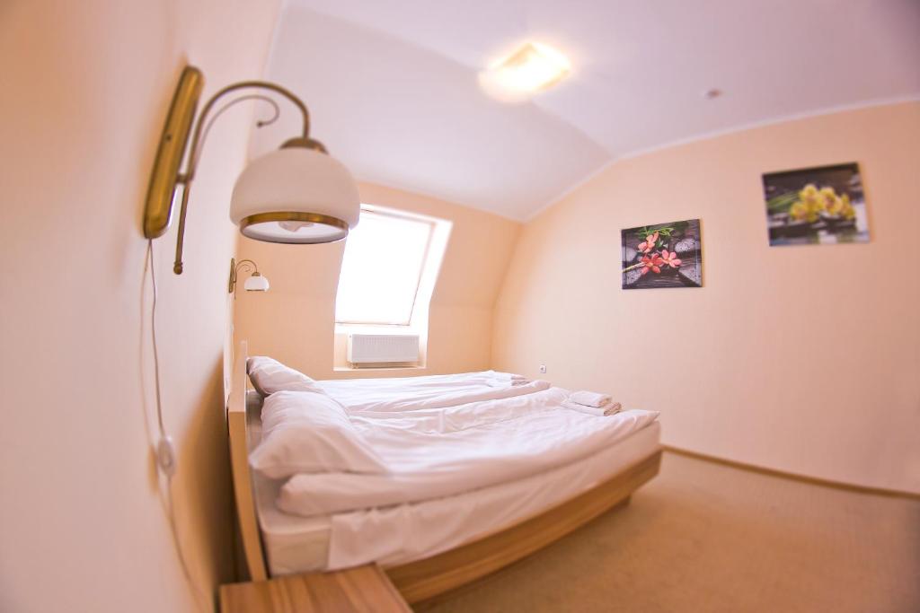 ein Krankenhauszimmer mit einem Bett und einem Fenster in der Unterkunft Budget Hotel Ekotel in Lwiw