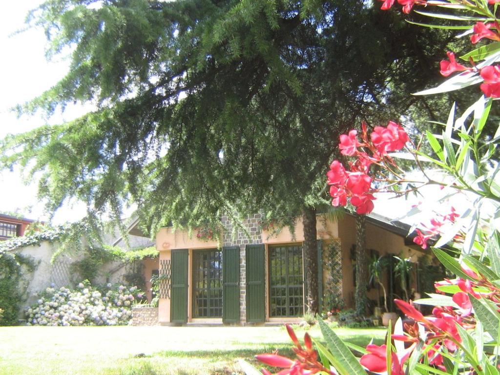 O grădină în afara B&B Al Roncaccio