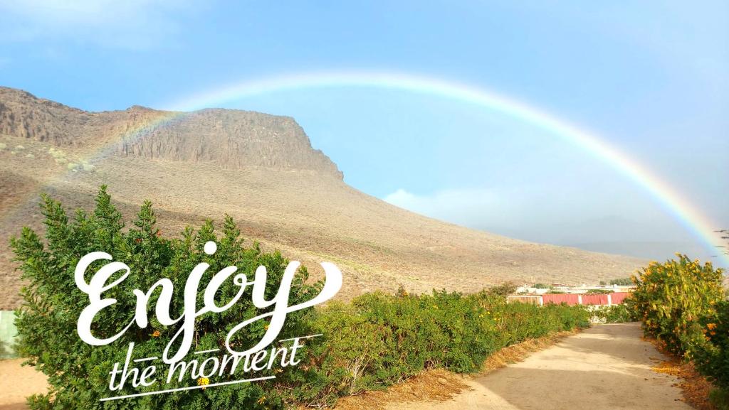 Apartamentos Roque Aguayro - Housity