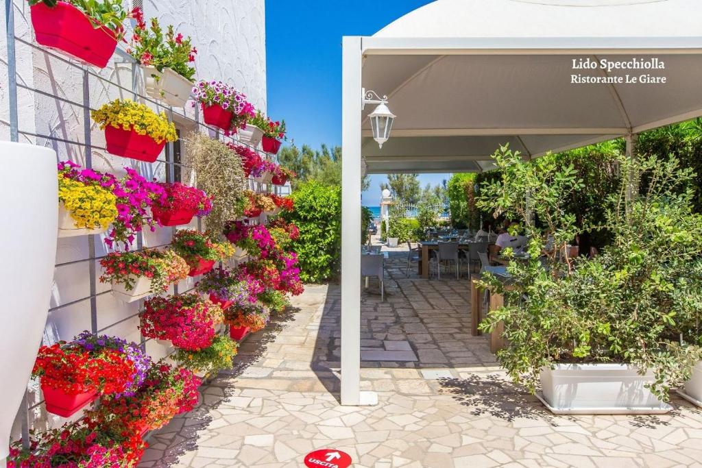 Zahrada ubytování Appartamento Pineta Mare