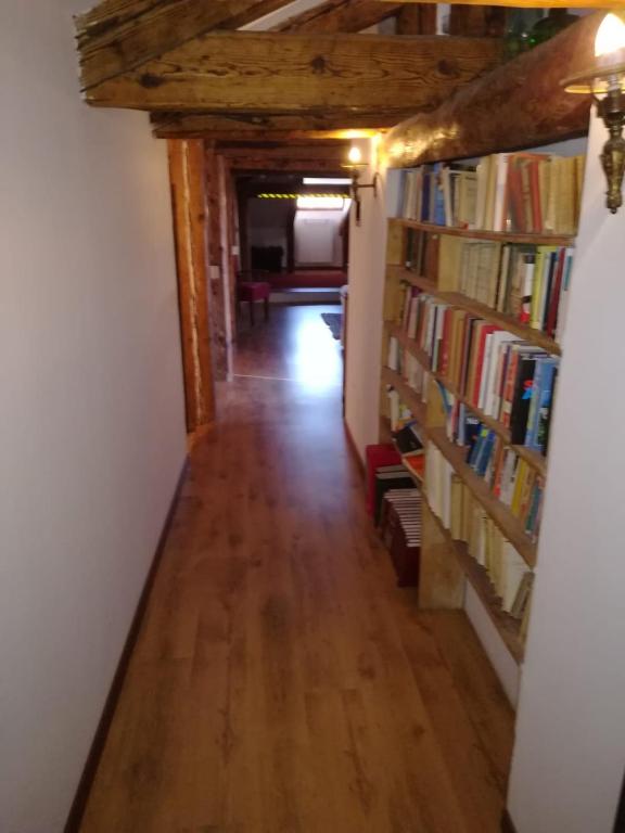 The library in Az apartmant