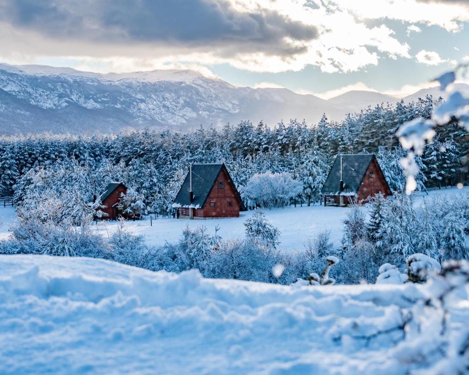 un grupo de cabañas en un campo cubierto de nieve en Ranč Crna stina, en Livno