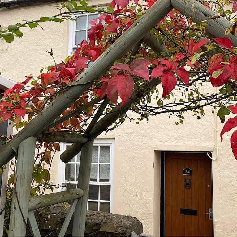 a house with a wooden door and red leaves at Lotte’s Cottage in Bideford