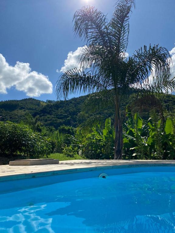 a palm tree and a swimming pool with a palm tree at Chácara Bertelli in Socorro