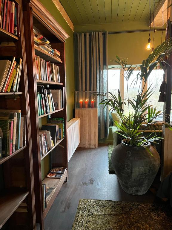 Knihovna v apartmánu