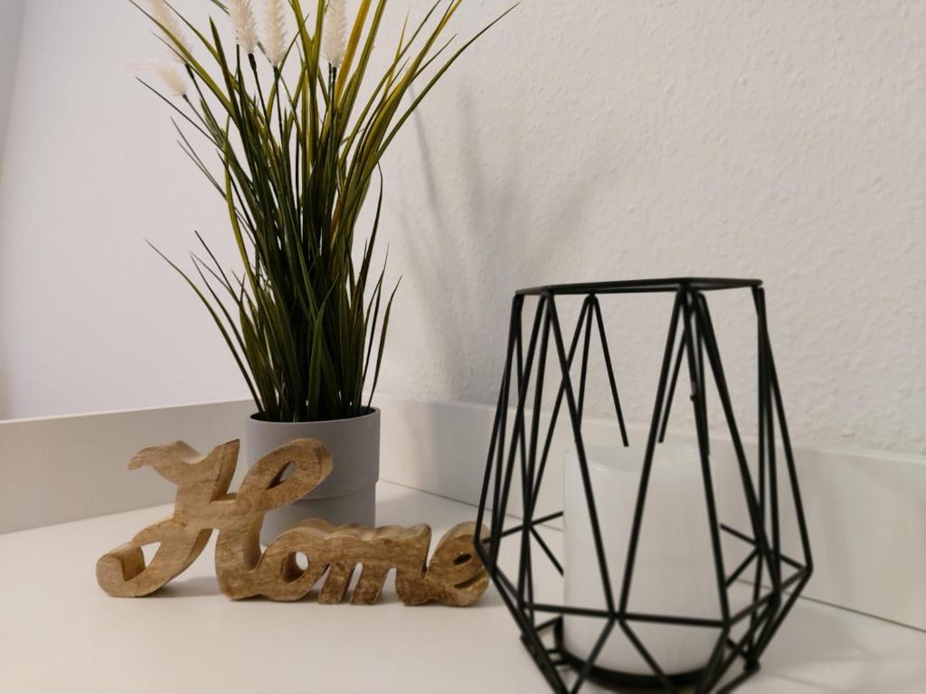 a black vase and a plant on a table at Pension zur Eiche GmbH in Bad Schandau