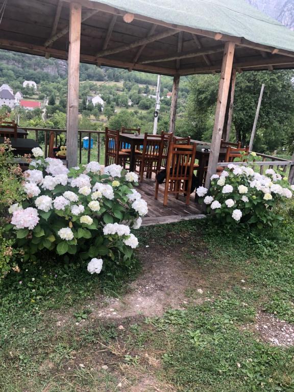 Giardino di Bujtina Kometa