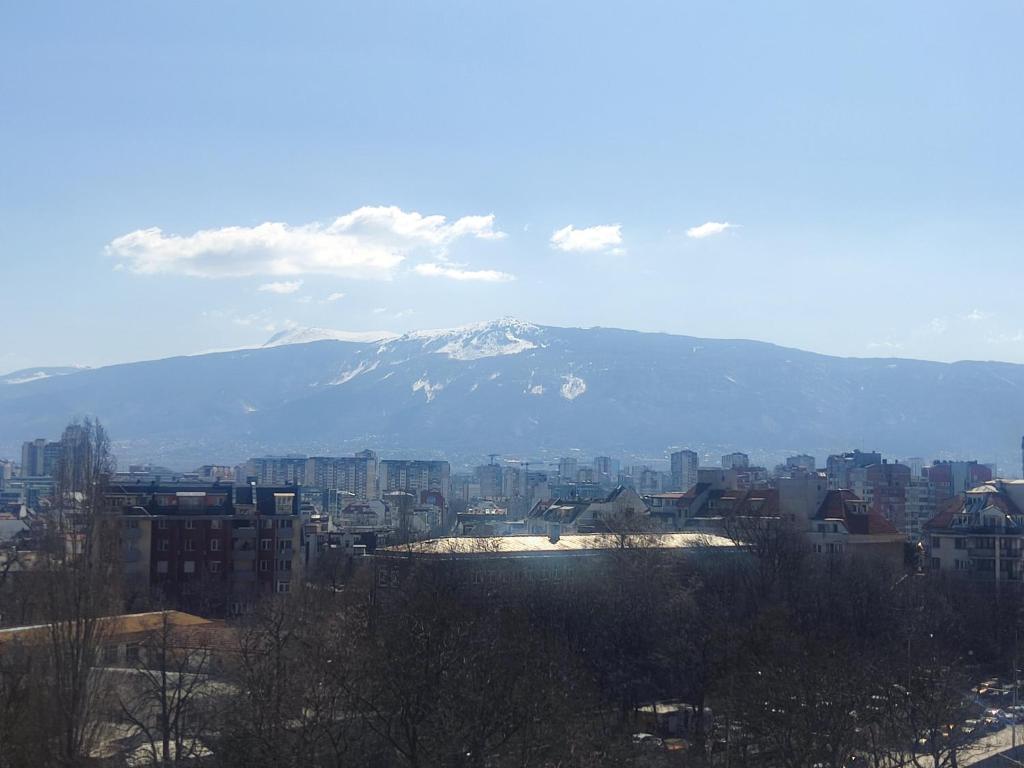 a view of a city with a snow covered mountain at Mountain view apartment in Sofia