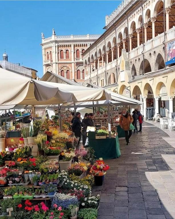 Miestna pamiatka v blízkosti apartmánu