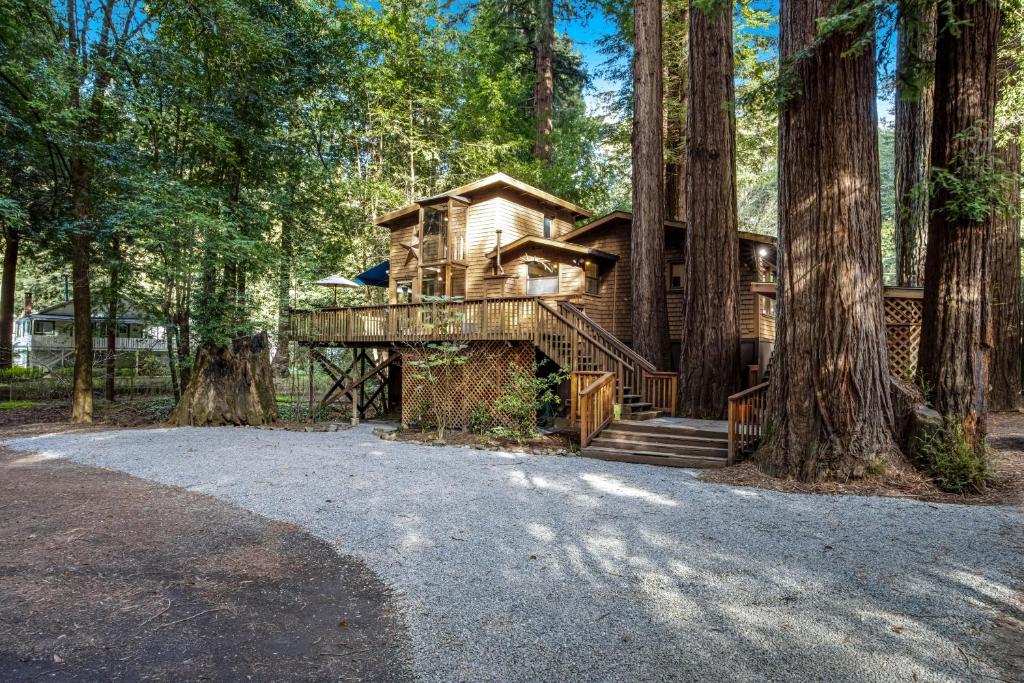 a tree house in the middle of a forest at Cabana Del Rio in Guerneville