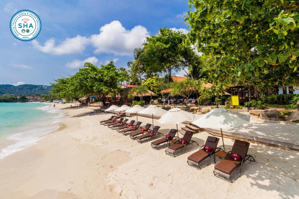 a row of chairs and umbrellas on a beach at Anavana Beach Resort in Chaweng