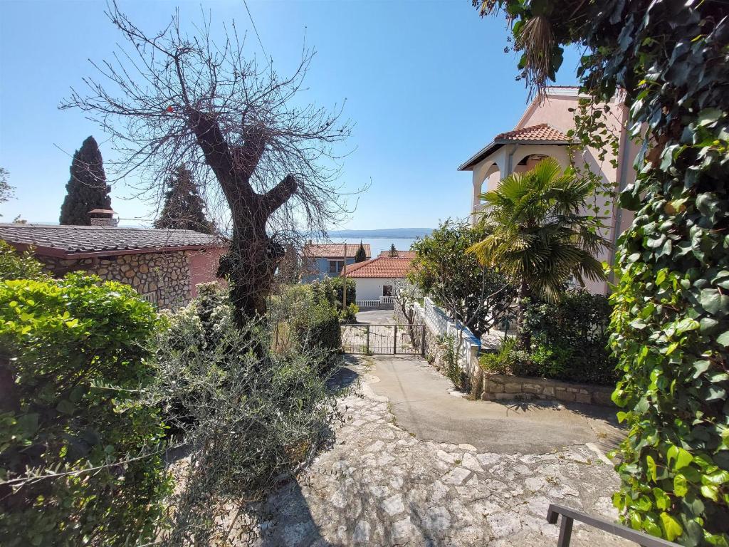 Příroda nedaleko apartmánu