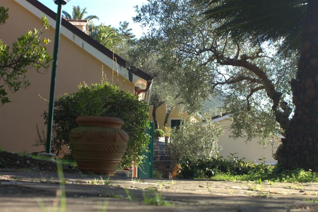 Villa Dei Limoni
