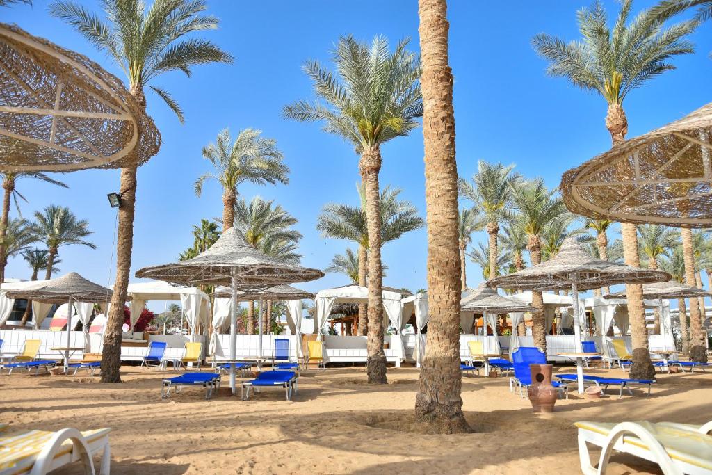 Fotografie z fotogalerie ubytování Seti Sharm Palm Beach Resort Families and couples only v destinaci Sharm El Sheikh