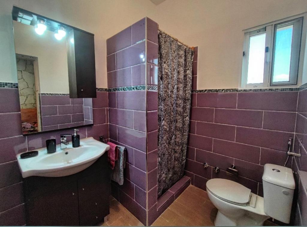 Koupelna v ubytování Casa Djarmai Boutique Apartments