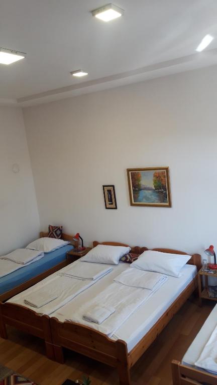 Apartment and rooms