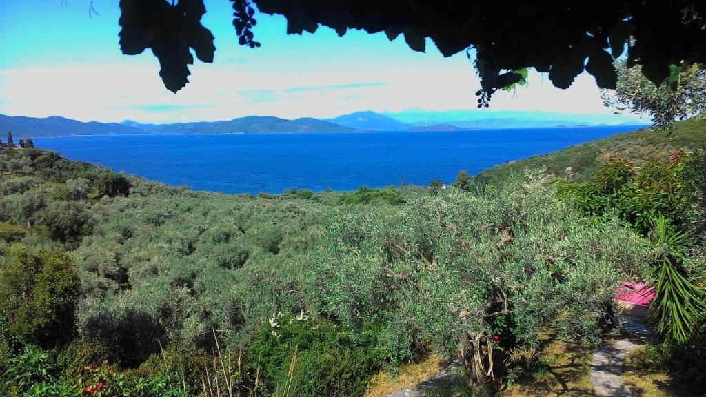 widok na ocean ze wzgórza w obiekcie Studio south Pilion w mieście Chorto