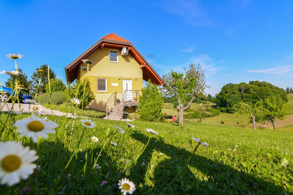 żółty dom na polu kwiatów w obiekcie Apartments Vinska Trta w mieście Čatež ob Savi