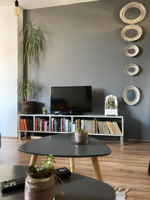 TV a/nebo společenská místnost v ubytování Stan na dan Loznica