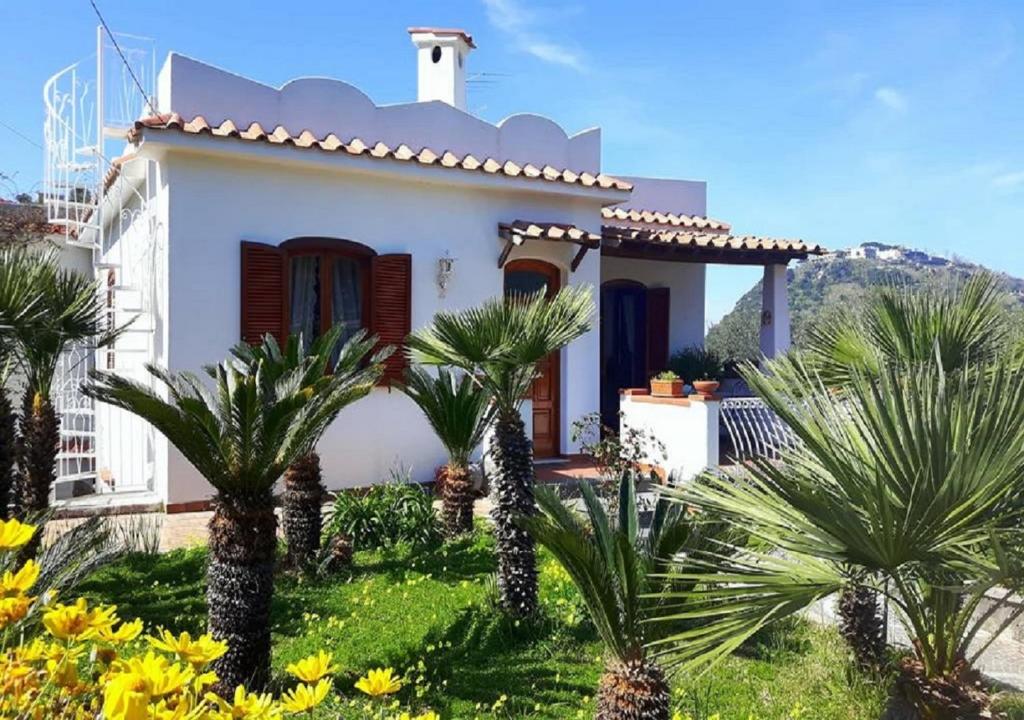 Holiday Apartments - Housity