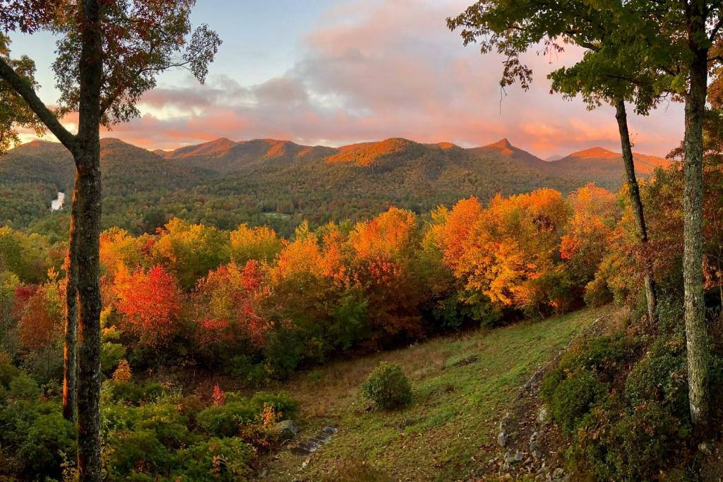 a view of a forest with fall trees and mountains at Sapphire Retreat with Views, Fire Pit, and Lake Access in Sapphire