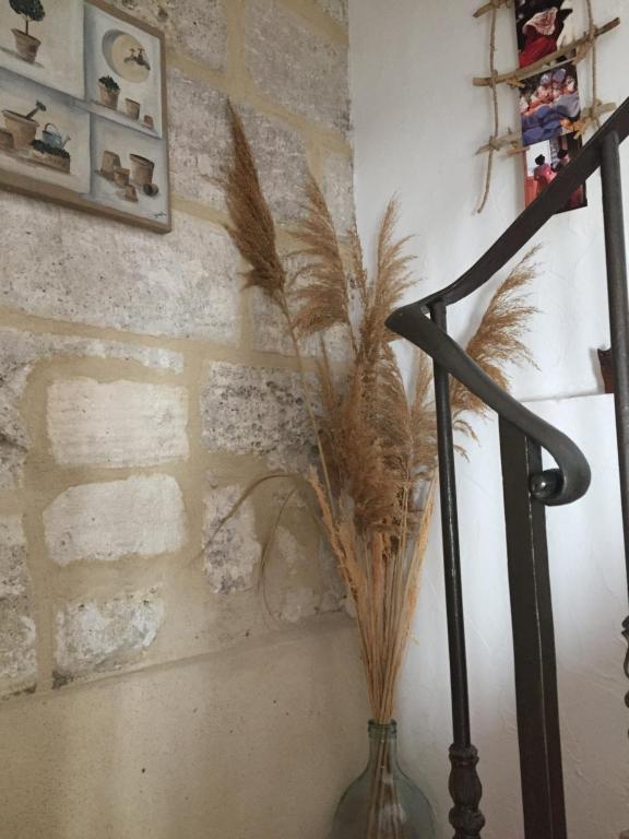 a vase with feathers in it next to a wall at Maison au bord de mer in Saintes-Maries-de-la-Mer