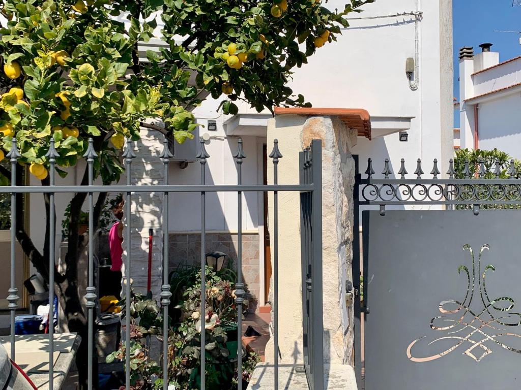 Fotografie z fotogalerie ubytování B&B Casa Biscotti v destinaci Peschici
