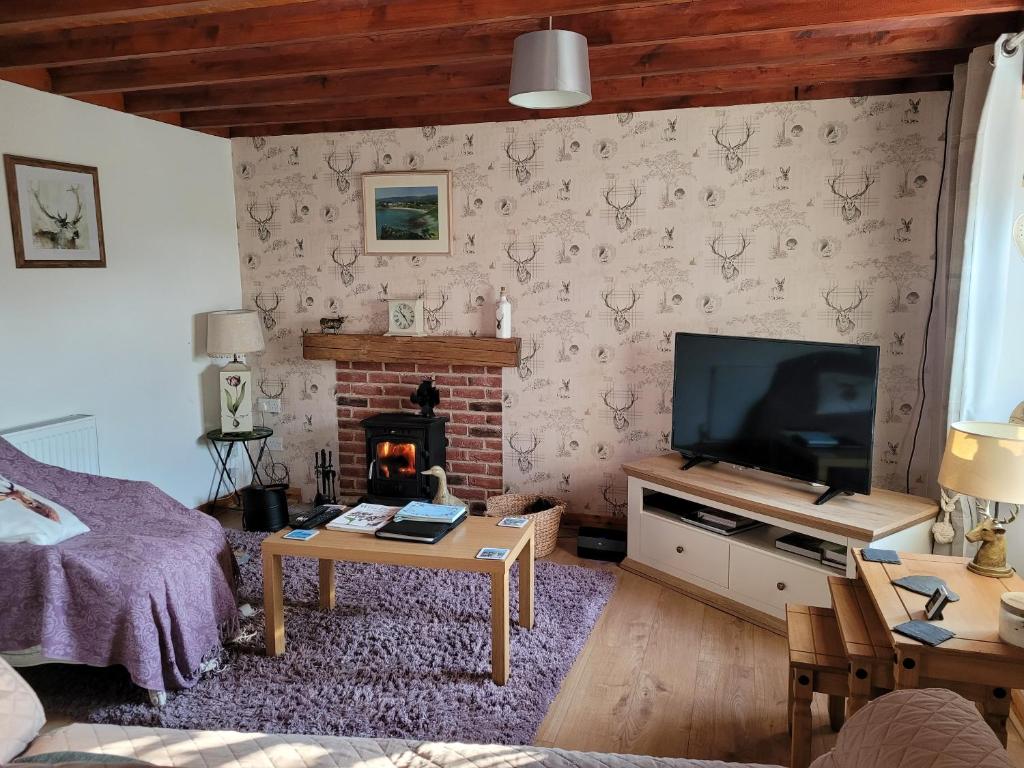 TV a/nebo společenská místnost v ubytování 3 Knocknaha Cottage