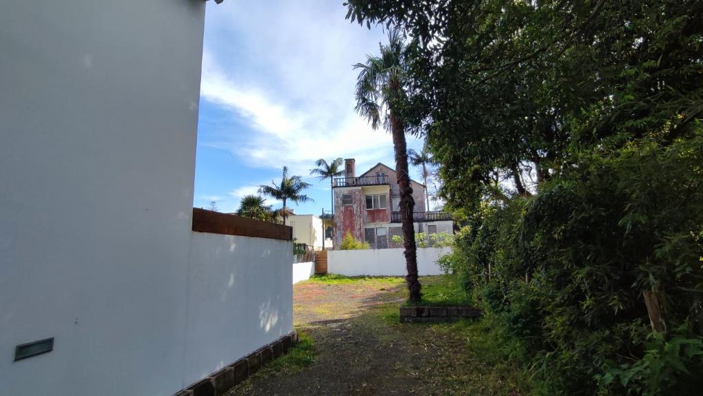 une maison avec un palmier et un mur blanc dans l'établissement Atlantic Valley, à Furnas