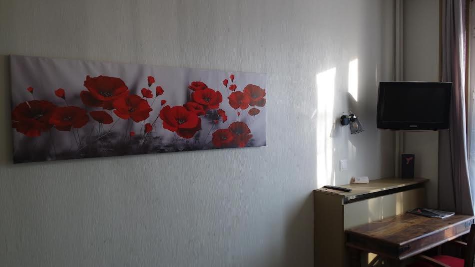 TV a/nebo společenská místnost v ubytování Hotel Le Colibri