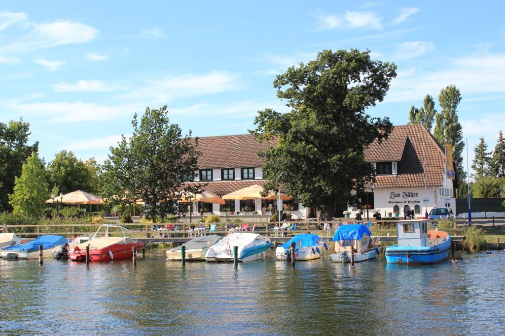 un grupo de barcos están atracados en un puerto deportivo en Gasthaus Zur Fähre, en Greifswald