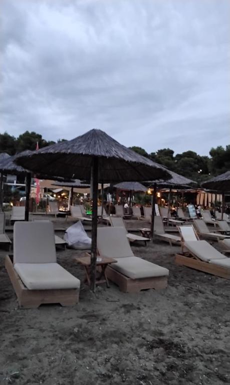 Táj Show holiday homes közelében