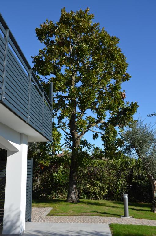 Zahrada ubytování B&B Fior di Magnolia