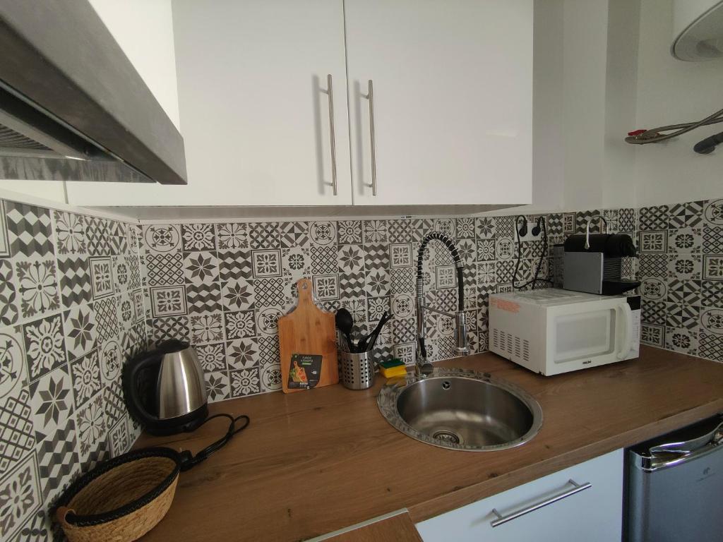 a kitchen counter with a sink and a microwave at Les Lofts De Provins: Apt 1 in Provins