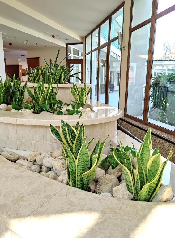 Fotografia z galérie ubytovania Spa Residence Carbona Siesta Apartman v destinácii Hévíz