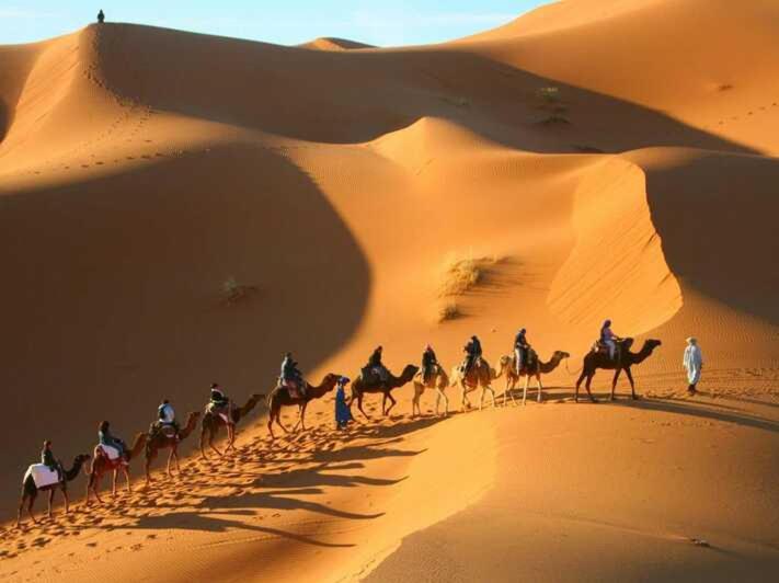 Camel Trekking Camp - отзывы и видео