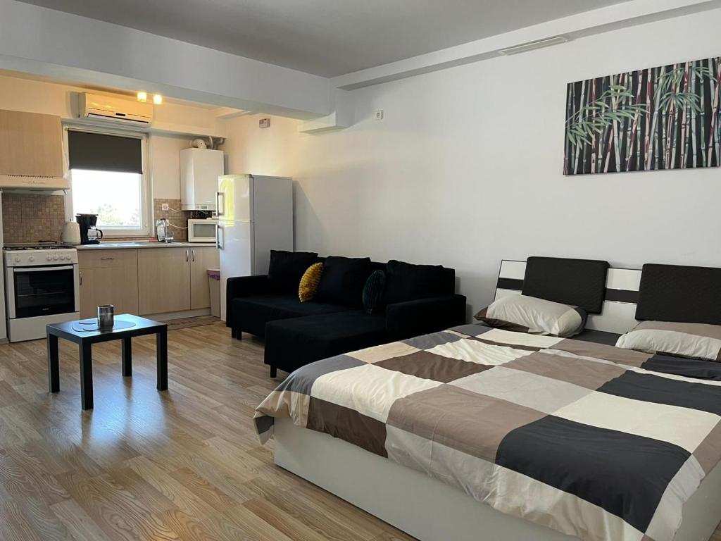 a bedroom with a bed and a couch and a kitchen at Tranzzzit Airport Apartment in Otopeni
