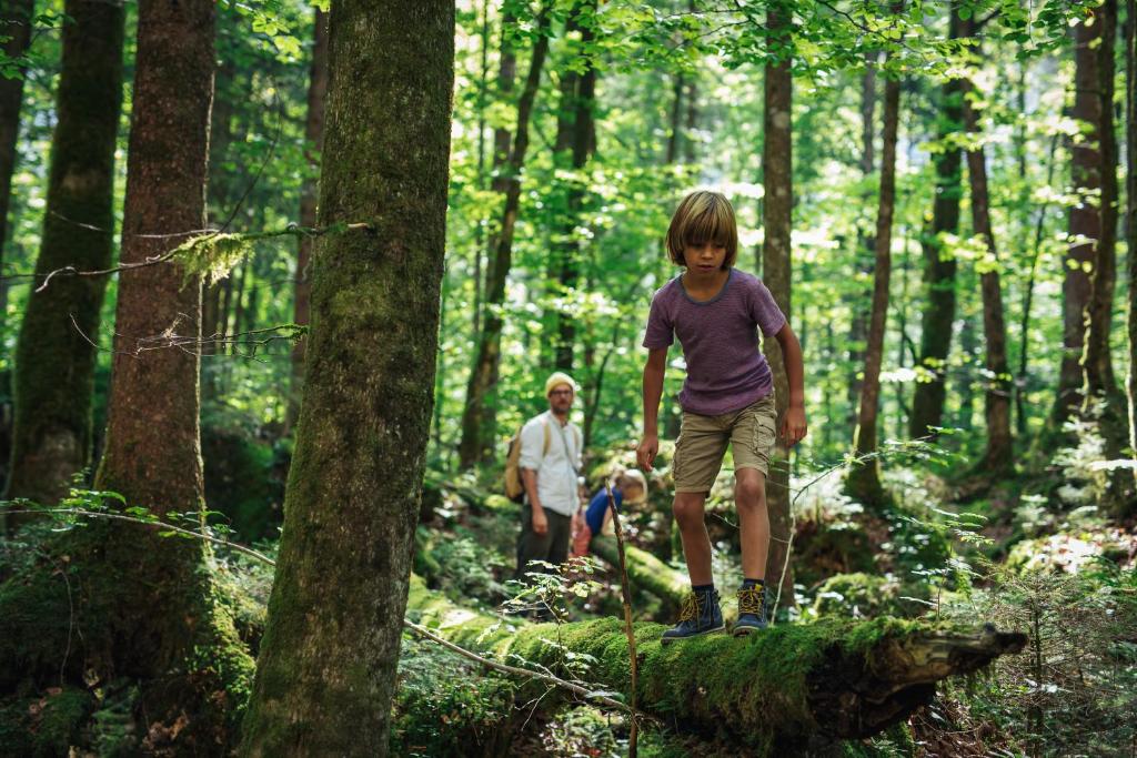 Hostia v ubytovaní himmlisch urlauben St. Nikolai