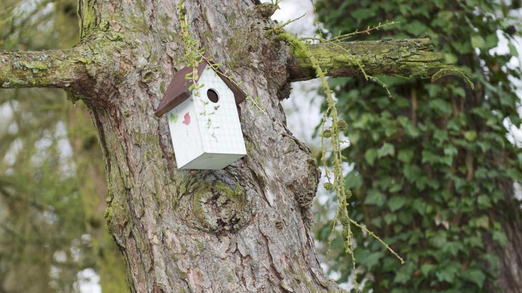 Certifikát, hodnocení, plakát nebo jiný dokument vystavený v ubytování Lafarques