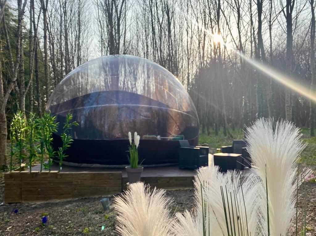 een koepelhuis in een tuin met planten bij Logement insolite "Bubble jungle" in Saint-Évarzec