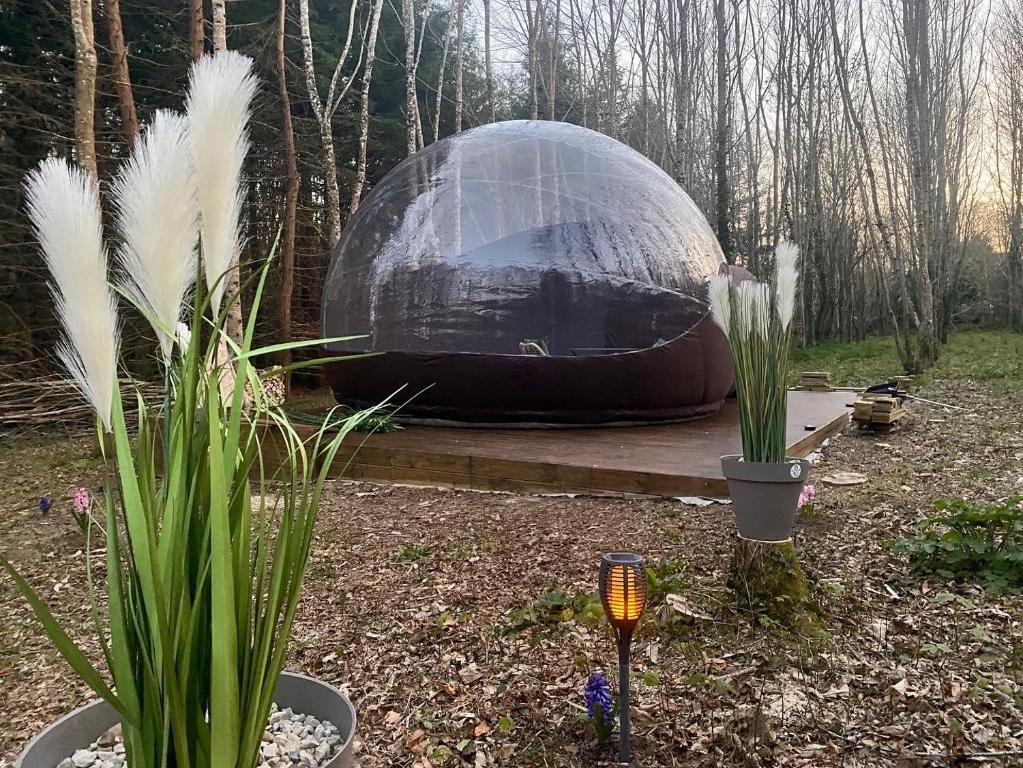 Zahrada ubytování Logement insolite "Bubble jungle"