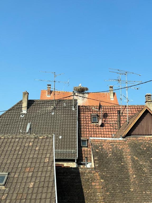Sous les toits avec garage et terrasse à Ribeauville – photo 33