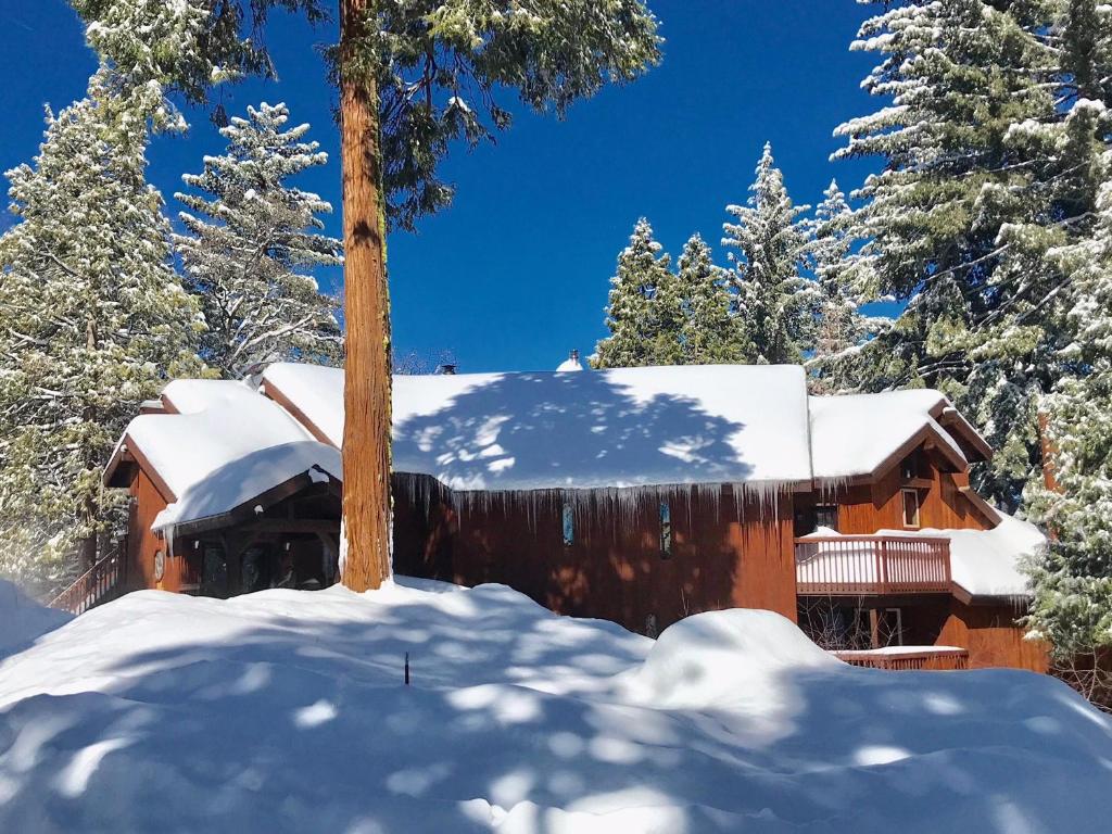 una cabaña de madera en la nieve con un árbol en Four Seasons en Yosemite West