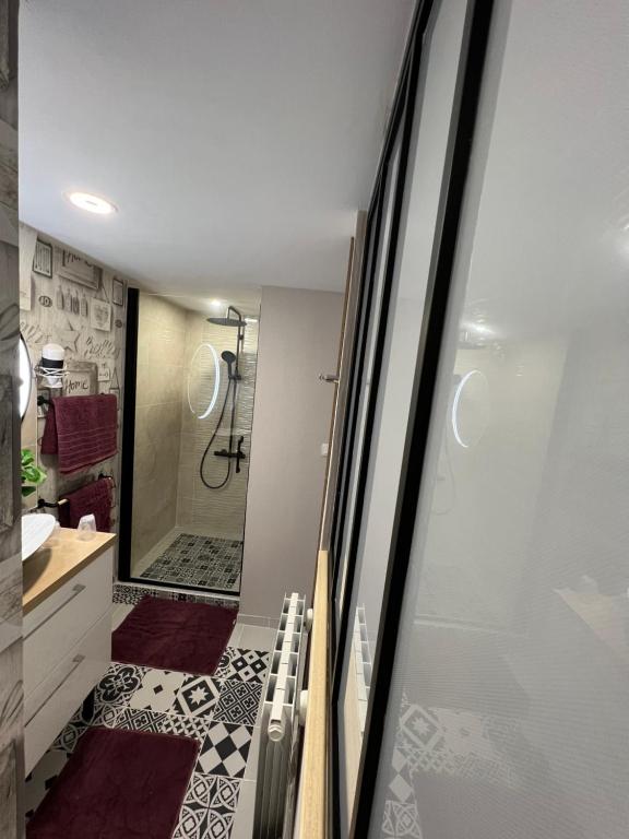 a bathroom with a walk in shower next to a sink at Chambre D'hôte Villa Maurice in Étretat